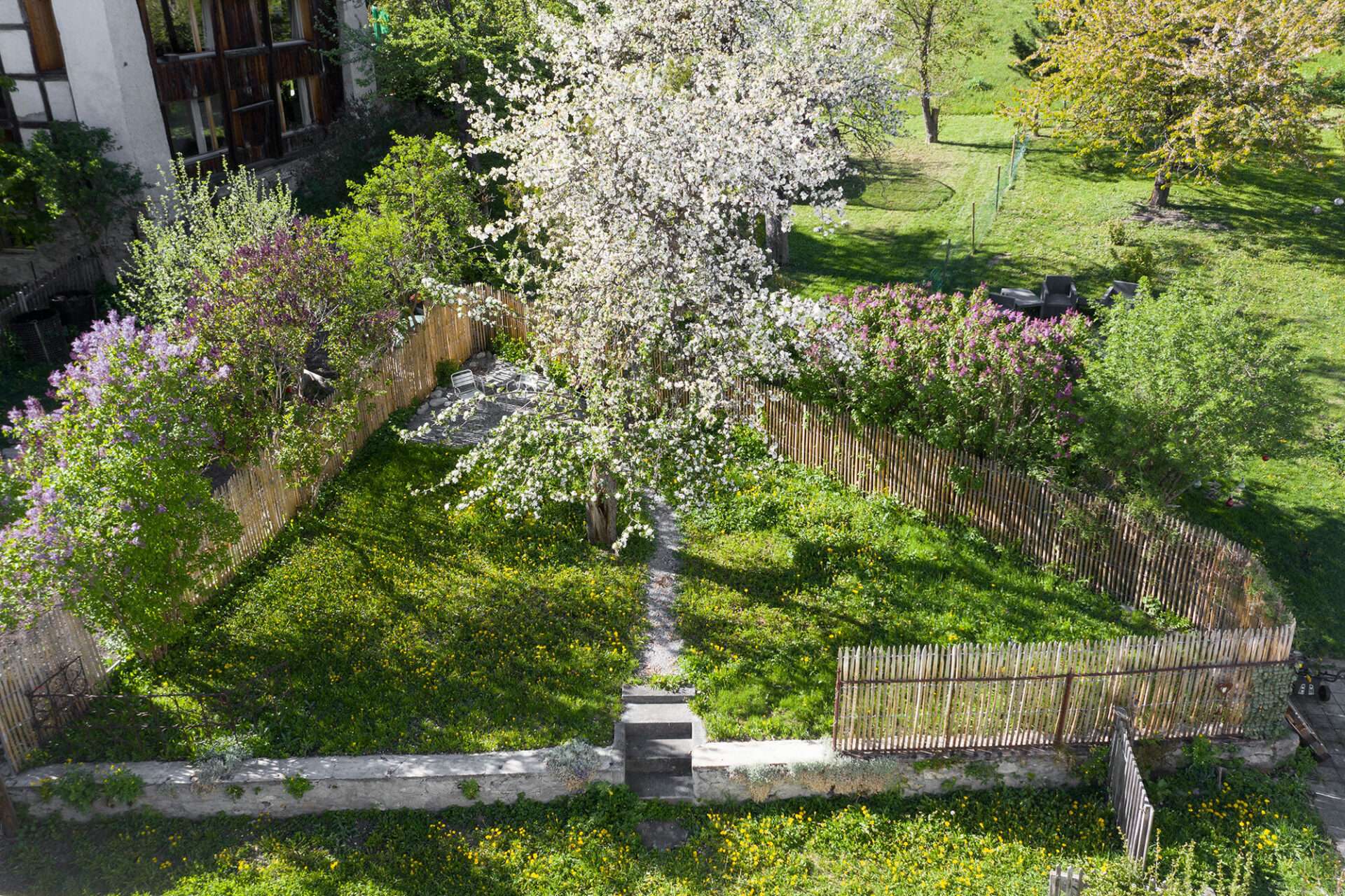 Scuol Baum im Garten